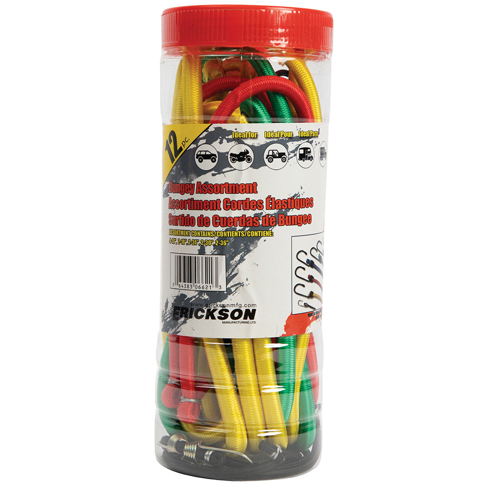 Erickson, Jar of 12 Assorted Bungee Cords