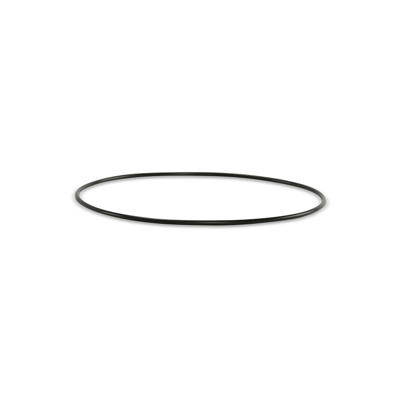 AccuStream, Cylinder O-ring, 7/8 in and 1 in.